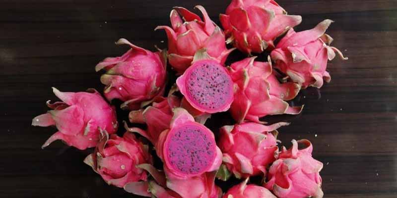 dragon fruit